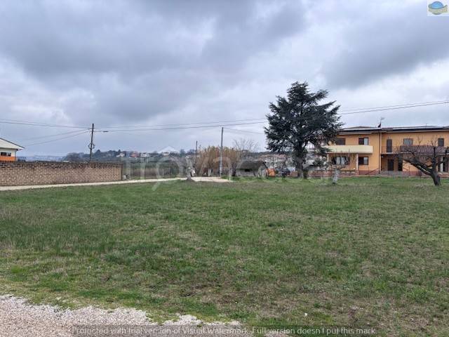 immagine annuncio 9 di 12