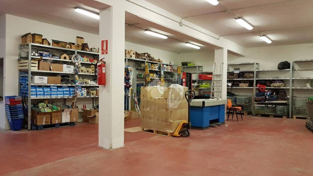immagine annuncio 6 di 10