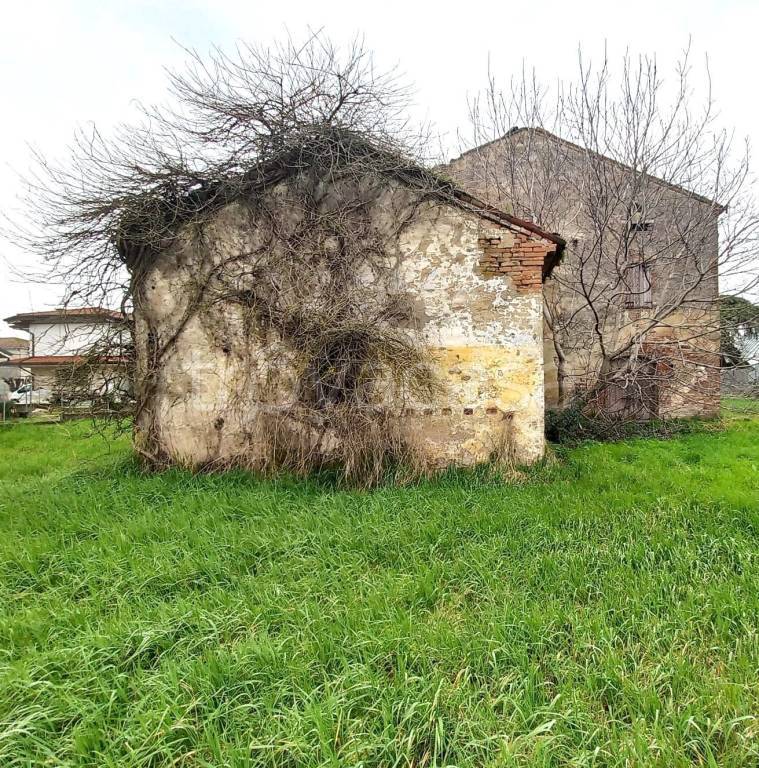immagine annuncio 1 di 3