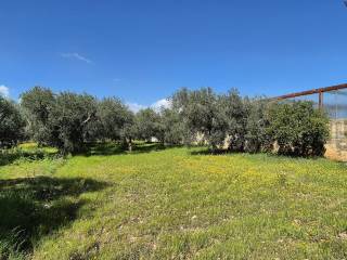 Terreno agricolo in vendita a bari strada santa caterina, 23