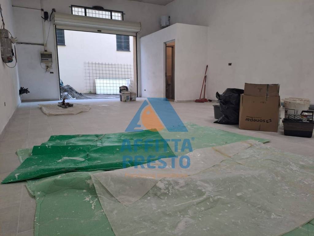 immagine annuncio 1 di 14