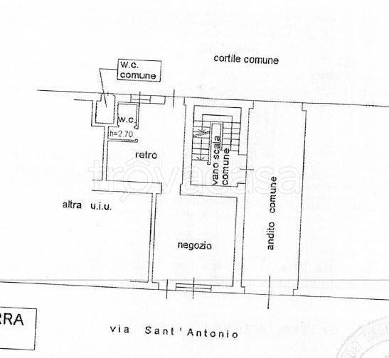 immagine annuncio 13 di 14