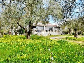 Villa in vendita ad alghero strada vicinale mancone