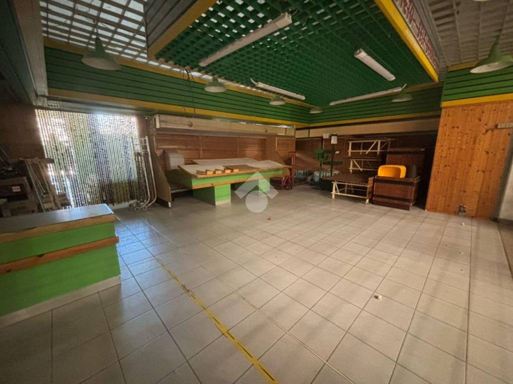 immagine annuncio 3 di 11