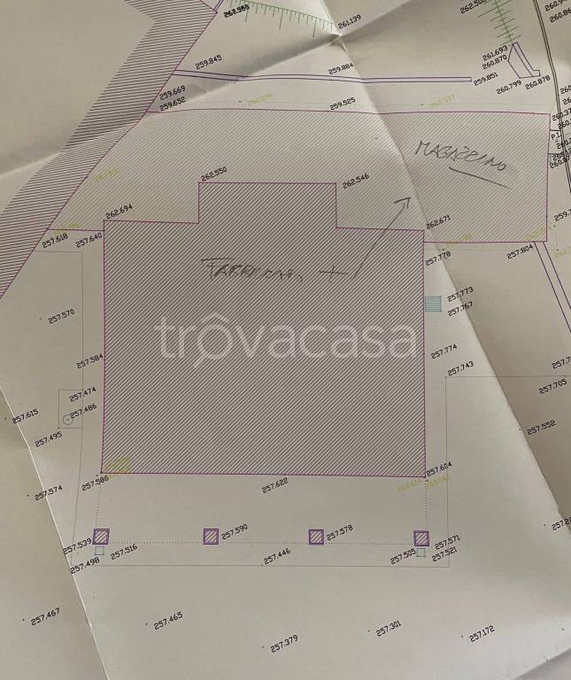 immagine annuncio 14 di 15