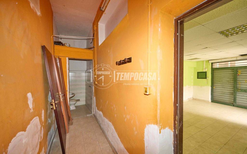 immagine annuncio 8 di 11