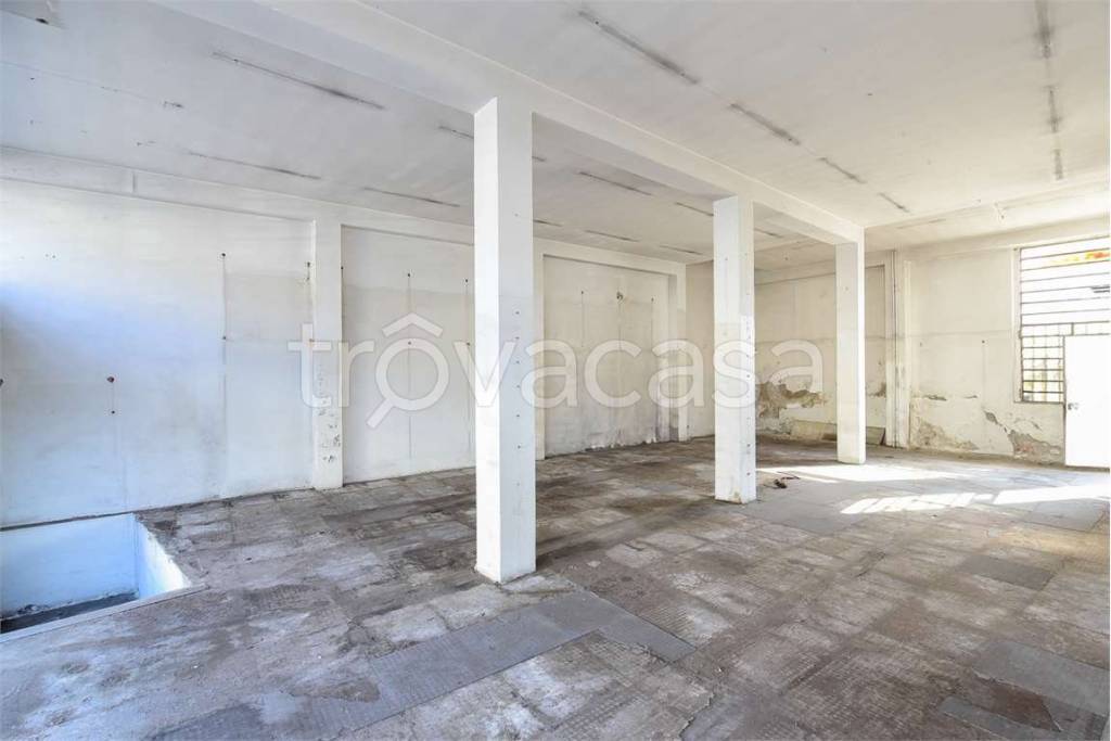 immagine annuncio 7 di 13