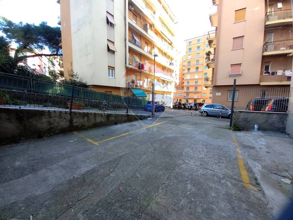 immagine annuncio 6 di 14