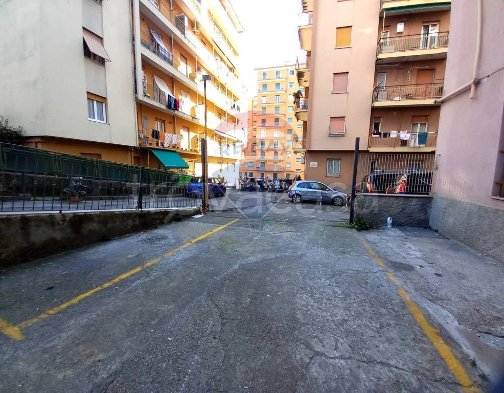 immagine annuncio 9 di 14