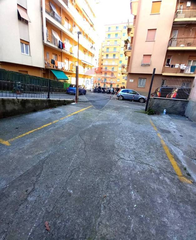 immagine annuncio 10 di 14