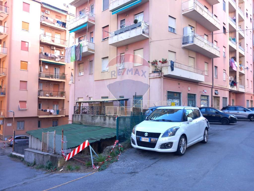 immagine annuncio 11 di 14