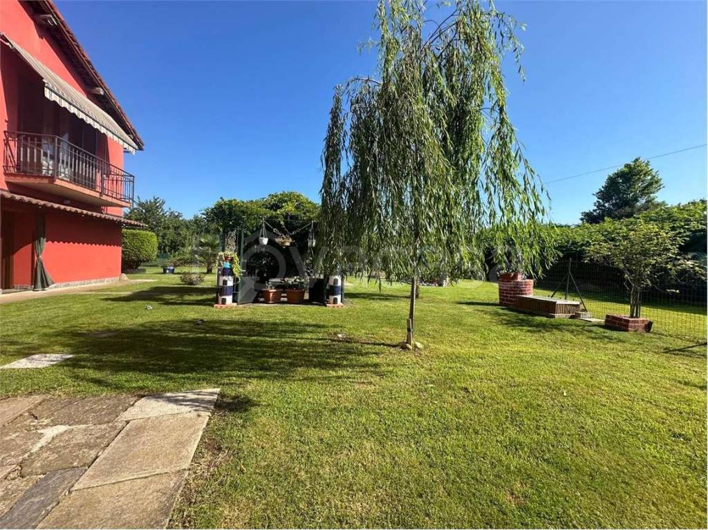 immagine annuncio 6 di 15