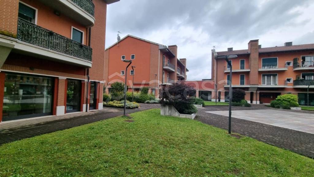 immagine annuncio 1 di 8