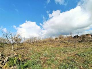 Terreno agricolo in vendita a belpasso via calatafimi, sn