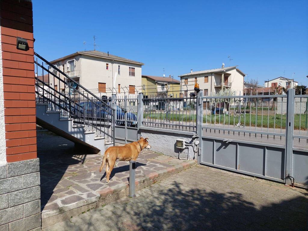 immagine annuncio 6 di 15