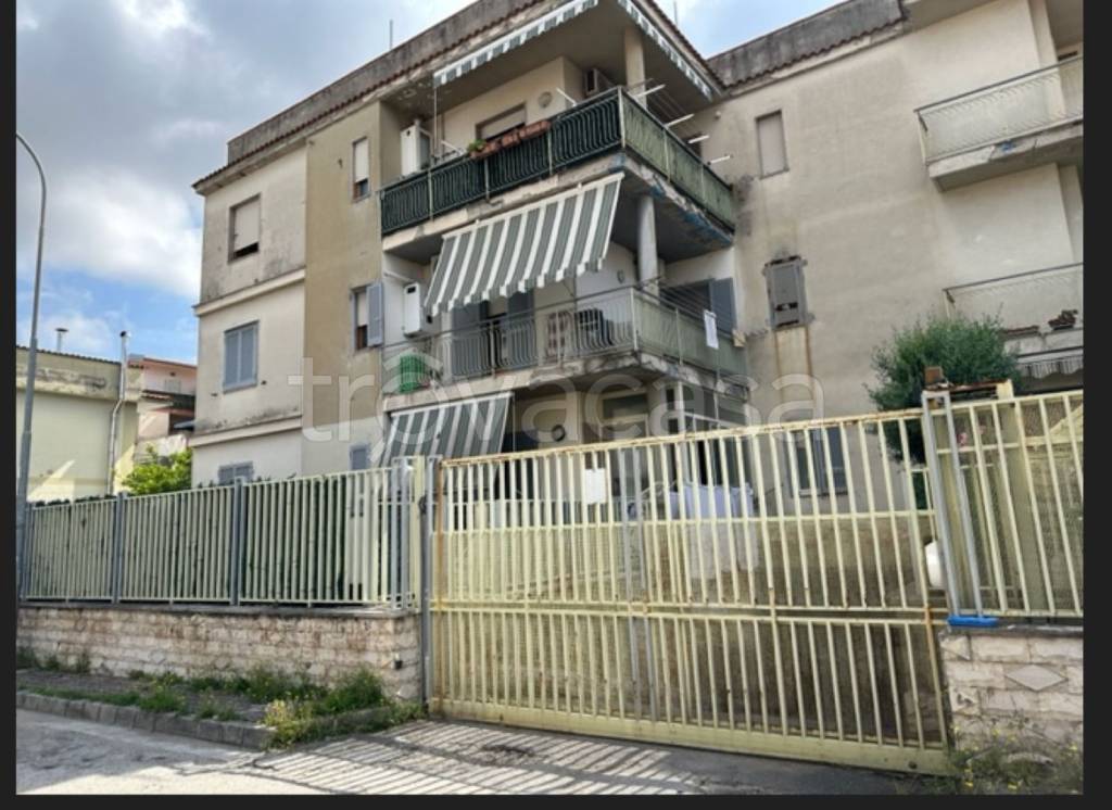 immagine annuncio 1 di 12