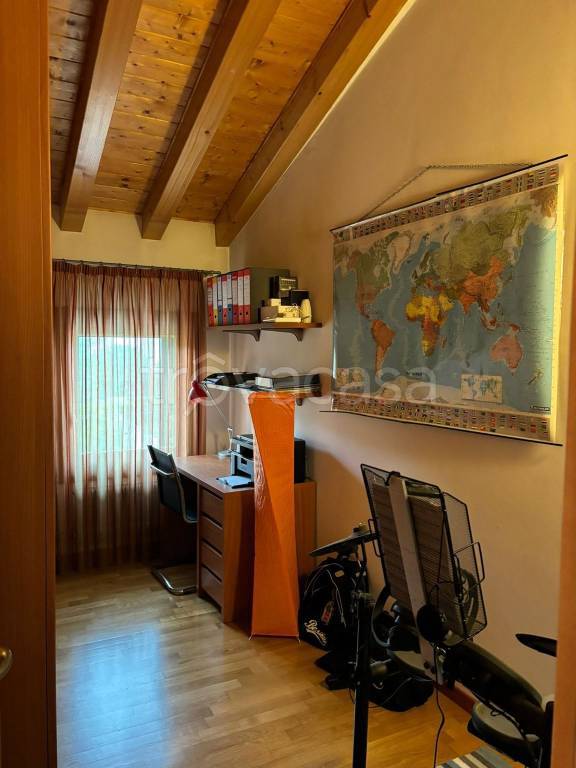 immagine annuncio 11 di 14