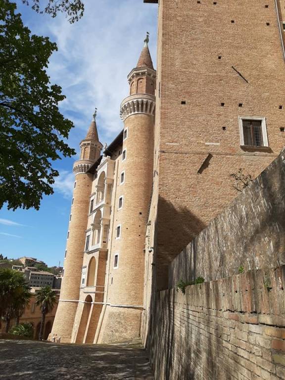 immagine annuncio 9 di 13