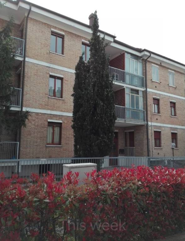 immagine annuncio 8 di 13