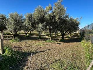 Terreno residenziale in vendita a lamezia terme via asia