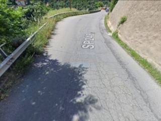 Terreno agricolo all'asta a luzzi contrada marzionero