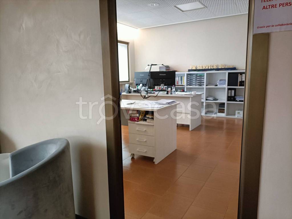 immagine annuncio 6 di 12
