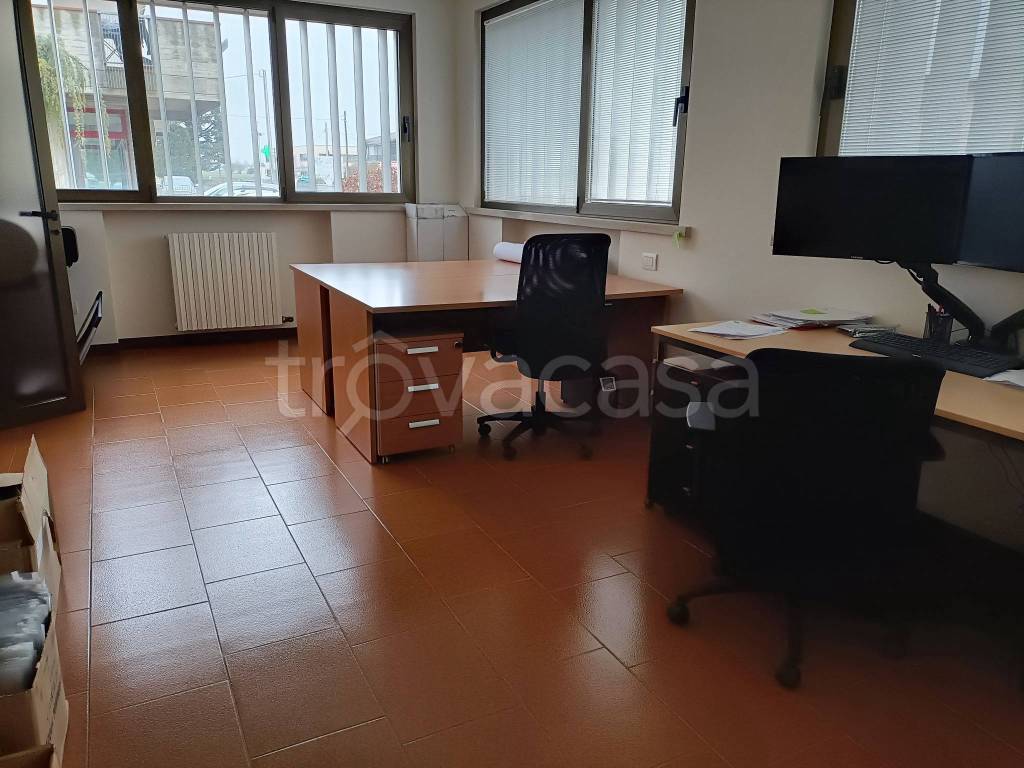 immagine annuncio 8 di 12
