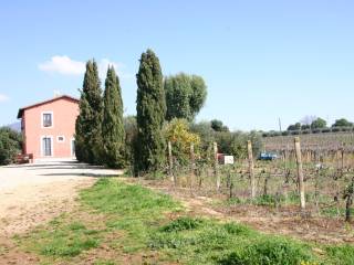 Terreno agricolo in vendita a genzano di roma via palaggi