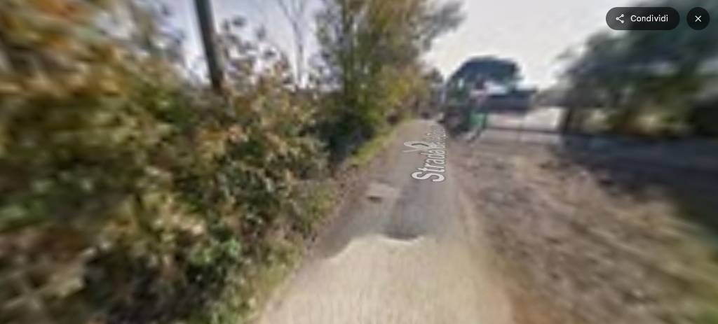 immagine annuncio 3 di 14