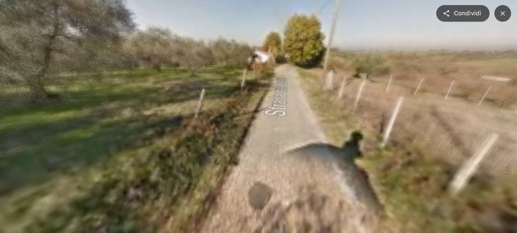immagine annuncio 8 di 14