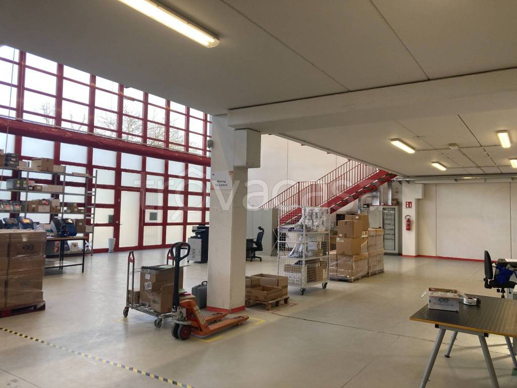 immagine annuncio 11 di 15