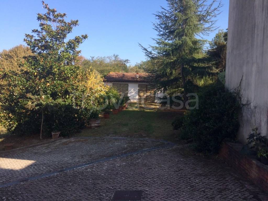 immagine annuncio 1 di 8