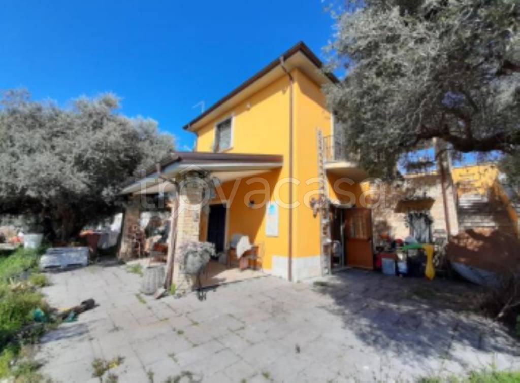 immagine annuncio 2 di 11