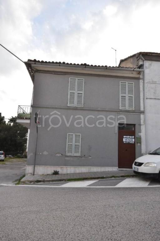 immagine annuncio 2 di 11