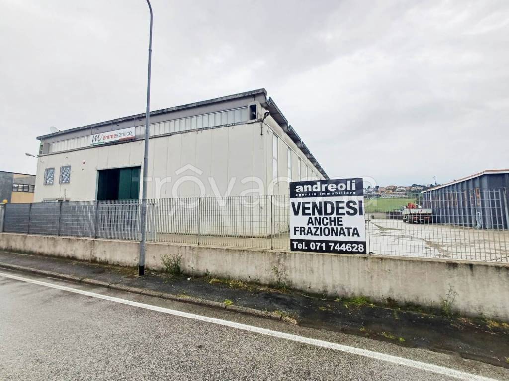 immagine annuncio 5 di 7