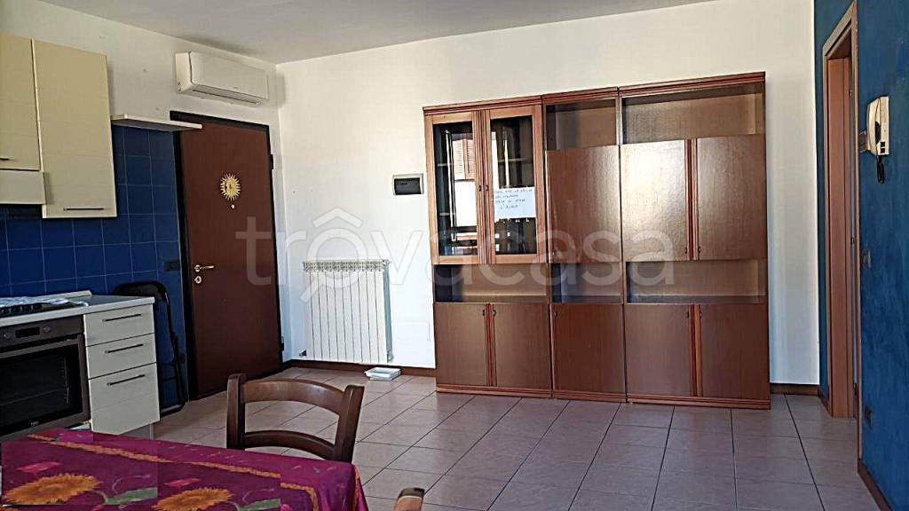 immagine annuncio 7 di 15