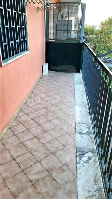 immagine annuncio 5 di 12