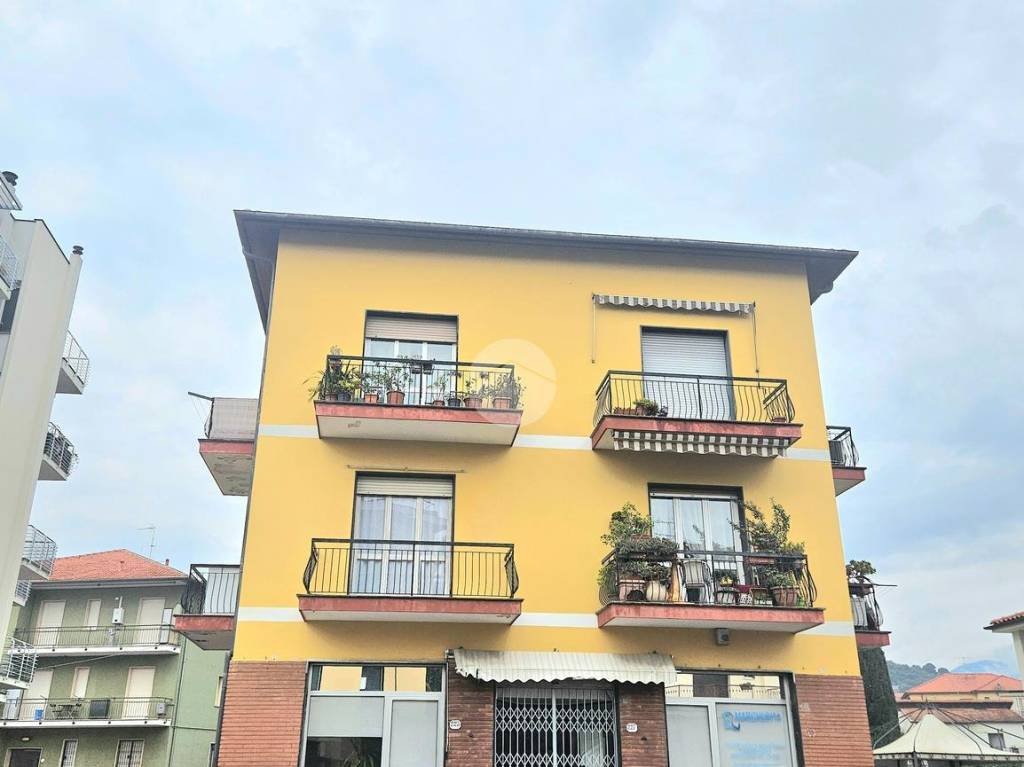 immagine annuncio 1 di 13