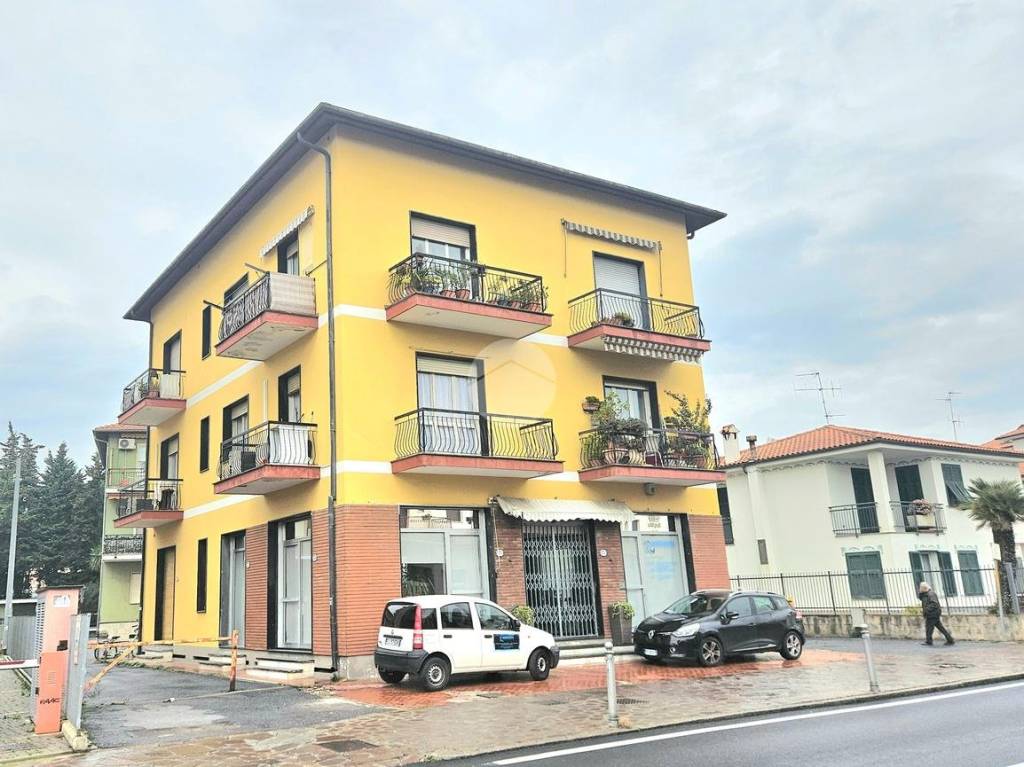 immagine annuncio 2 di 13