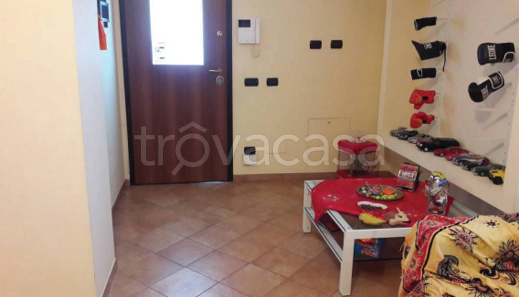 immagine annuncio 6 di 12
