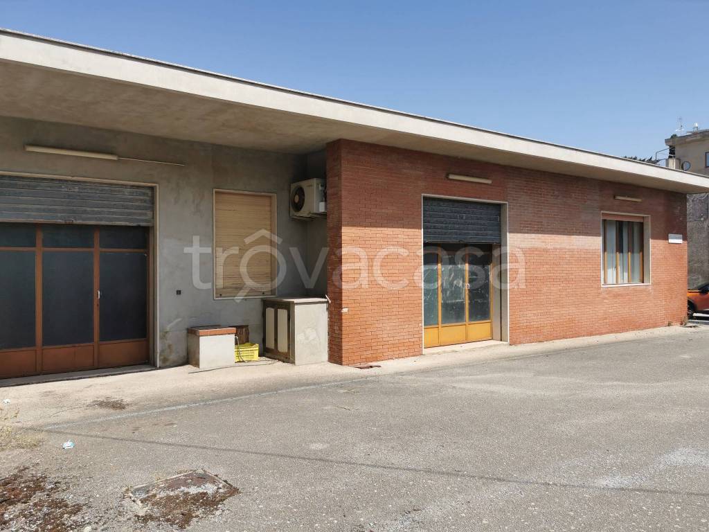 immagine annuncio 6 di 14