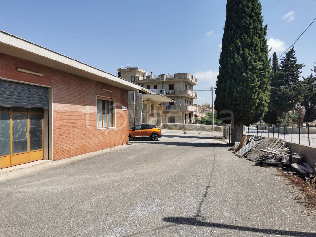 immagine annuncio 8 di 14
