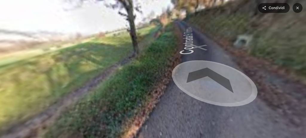 immagine annuncio 7 di 14
