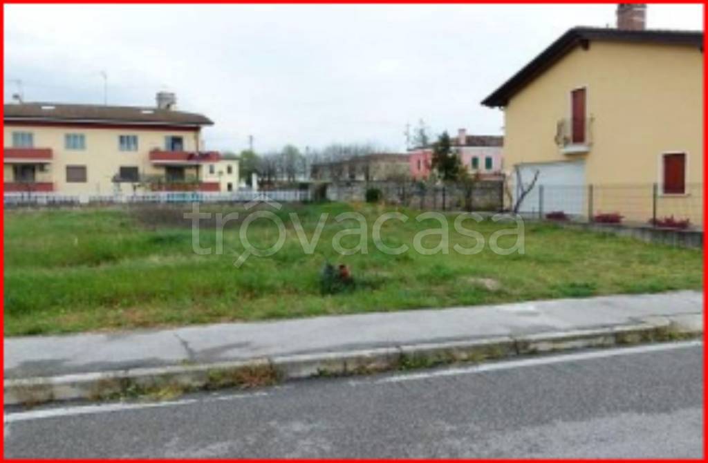 immagine annuncio 3 di 11