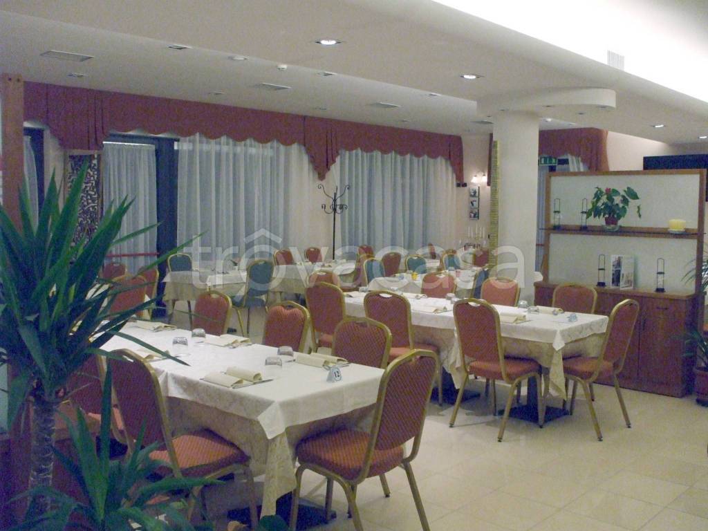 immagine annuncio 5 di 14