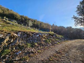 Terreno agricolo in vendita ad arco 