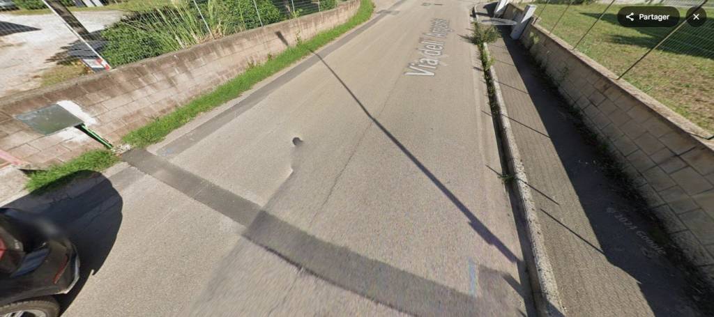 immagine annuncio 5 di 12