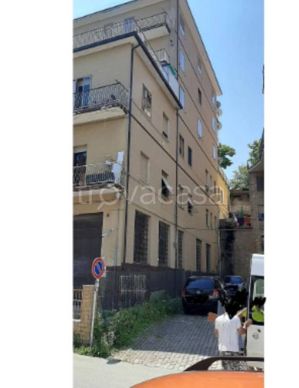 immagine annuncio 3 di 12