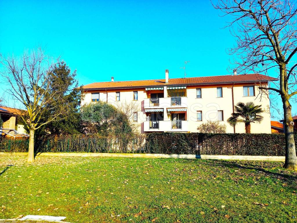 immagine annuncio 1 di 15