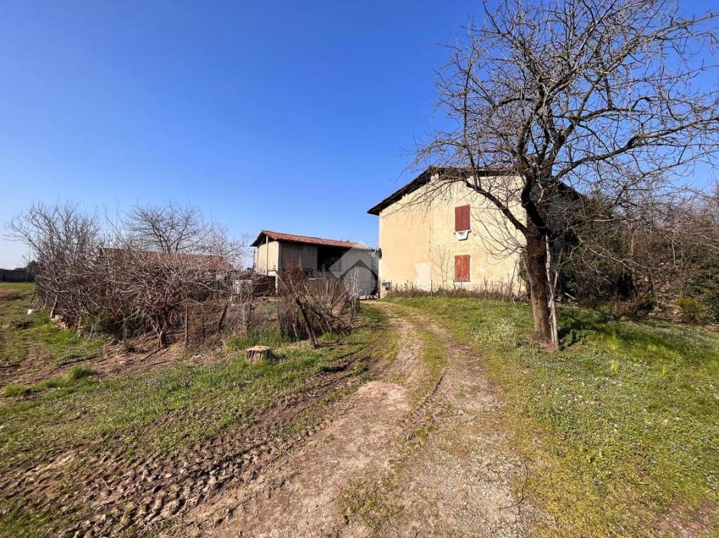 immagine annuncio 12 di 15
